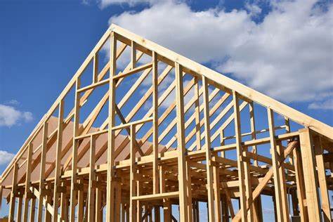 trusses and structure of the building